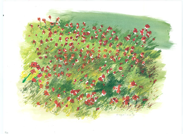Les Coquelicots from Renot