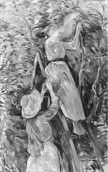 Picking cherries, 1891 (see also 18907) from Berthe Morisot