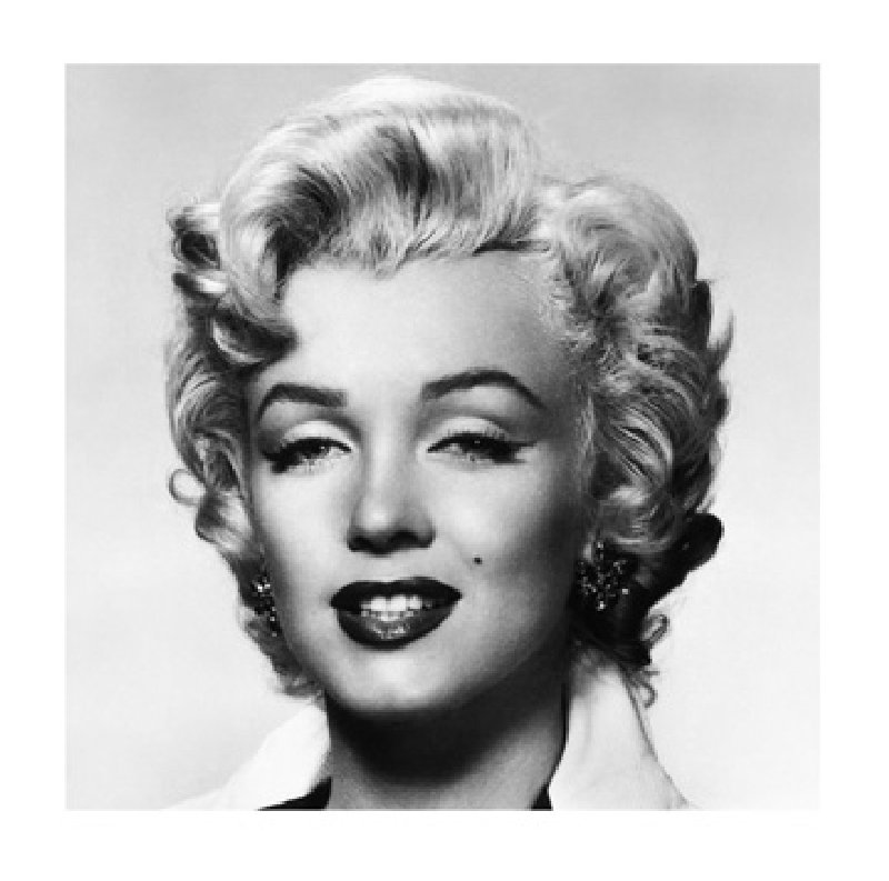 Monroe Portrait from Bettmann