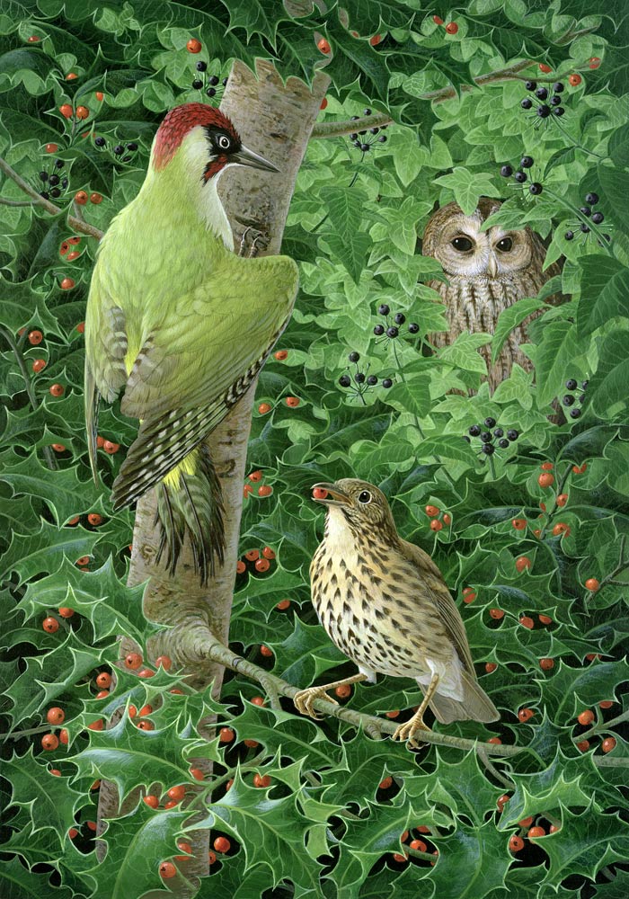 Woodpecker, Owl and Thrush from Birgitte  Hendil