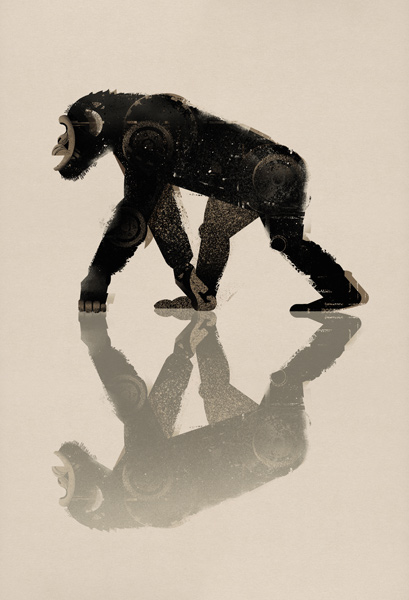 Chimp from Dieter Braun