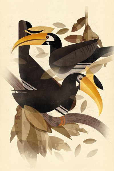 Hornbills from Dieter Braun