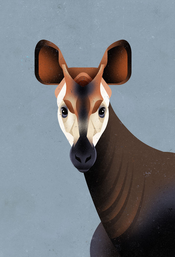 Okapi from Dieter Braun
