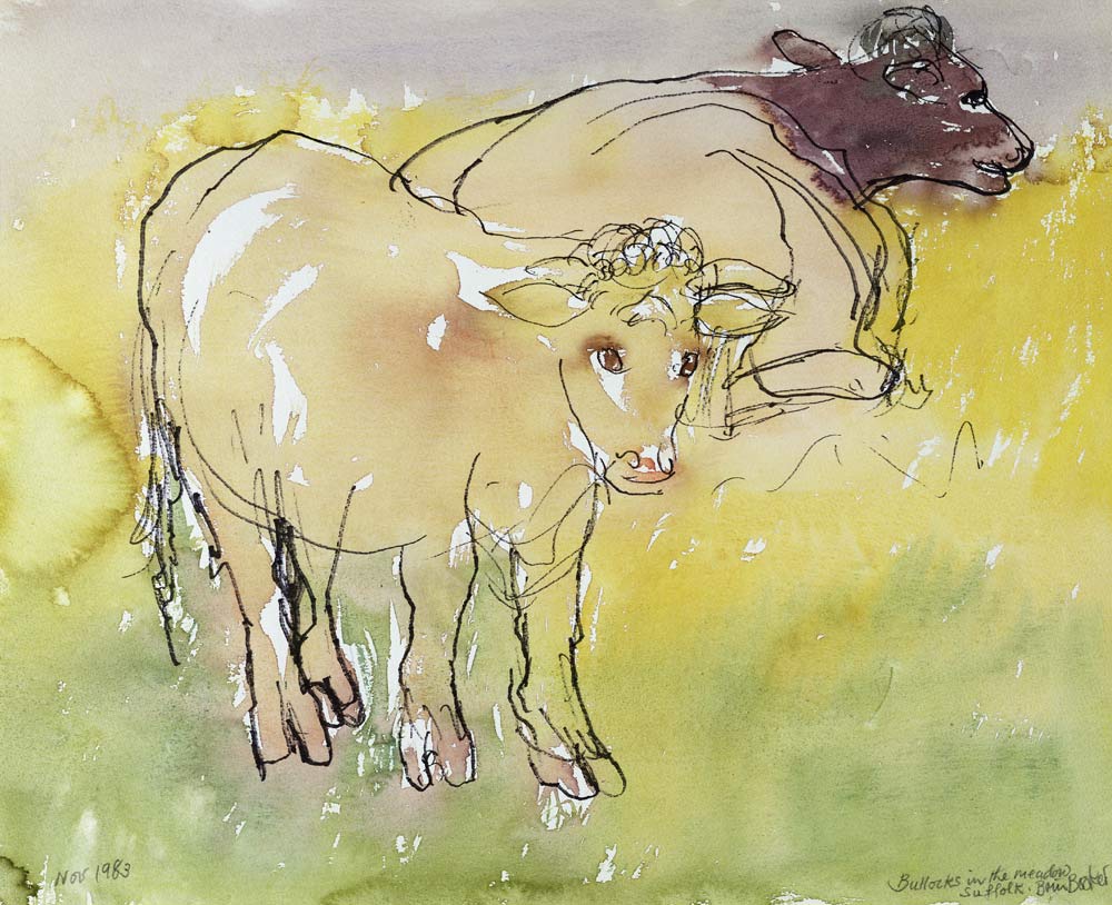 Young Bullocks in the Meadow, 1983 (pen & ink with w/c on paper)  from Brenda Brin  Booker