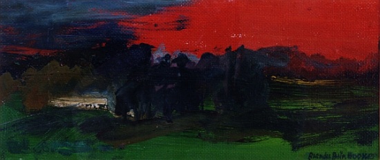 Landscape with a Red Sky from Brenda Brin  Booker