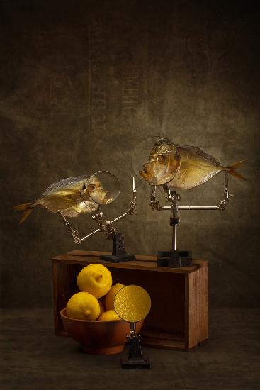 Conversation of two moon fish about the properties of lemons