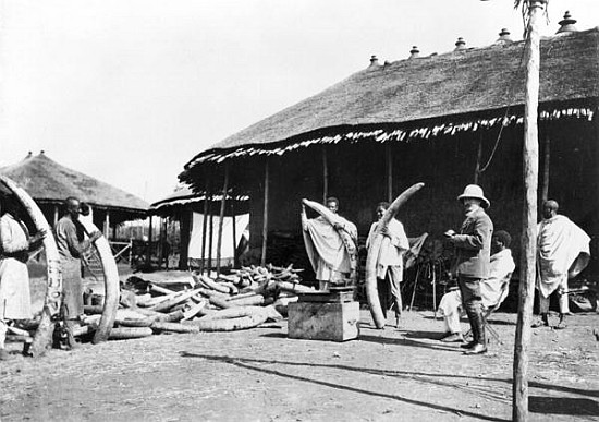 Ivory warehouses in Addis Abeba, Ethiopia, c.1900 ( b/w photo) from C. Chusseau-Flaviens