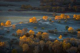 Prairie light