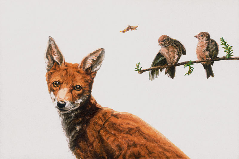 Fox Birds from Maxine R. Cameron