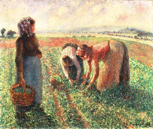 The pea harvest, Eragny from Camille Pissarro