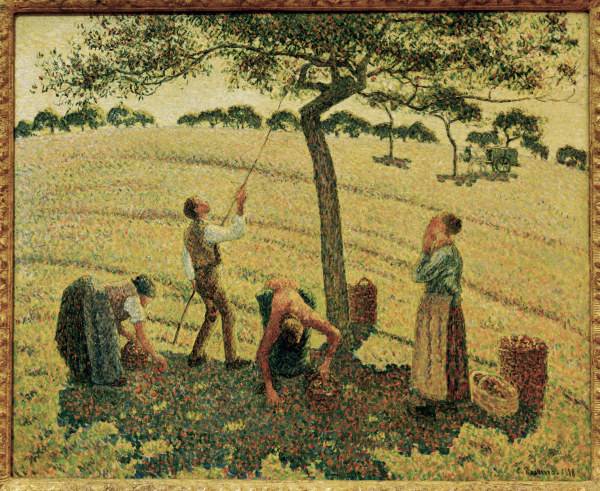 Pissarro / The Apple Harvest from Camille Pissarro