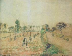 Pissarro / The Field Path / 1888