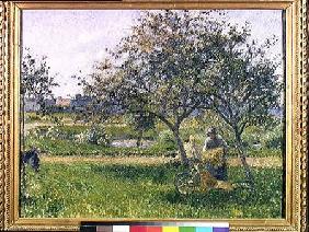 The Wheelbarrow, Orchard