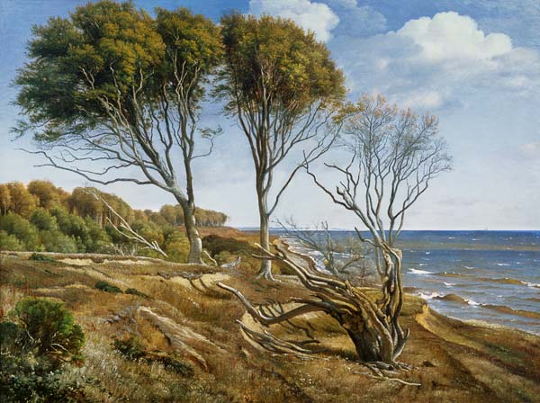 A Coastal Landscape from Carl Frederik Aagaard