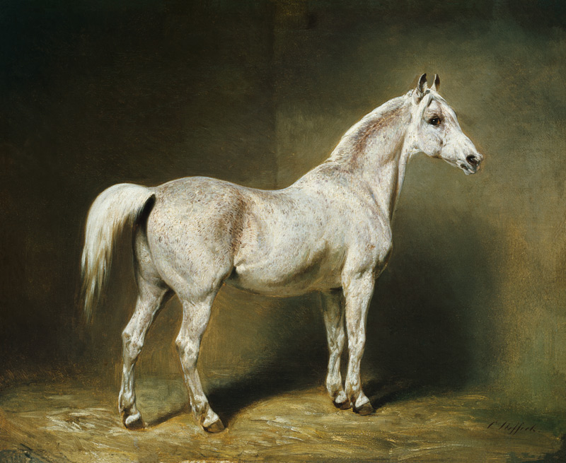 'Beatrice', the white arab saddlehorse of Helmuth Graf von Moltke from Carl Constantin Steffeck