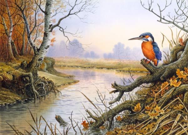 Kingfisher: Autumn River Scene 