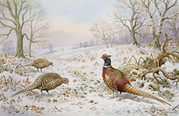Pheasant and Partridges in a Snowy Landscape 