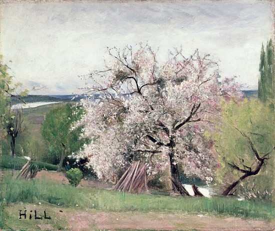 Fruit Tree in Blossom, Bois-le-Roi from Carl Fredrik Hill