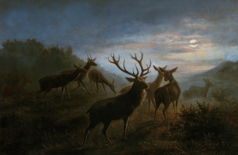 Red deer pack in the moonlight. from Carl Friedrich Deiker