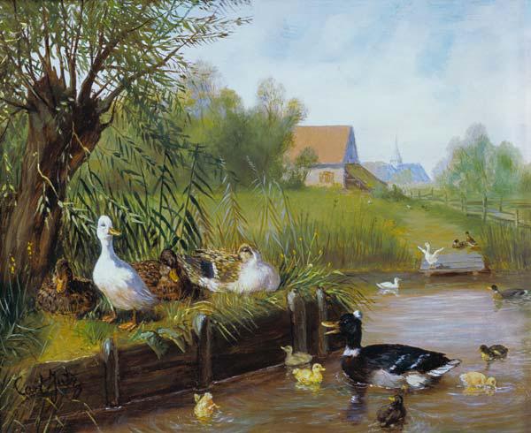 Ducks at the riverbank