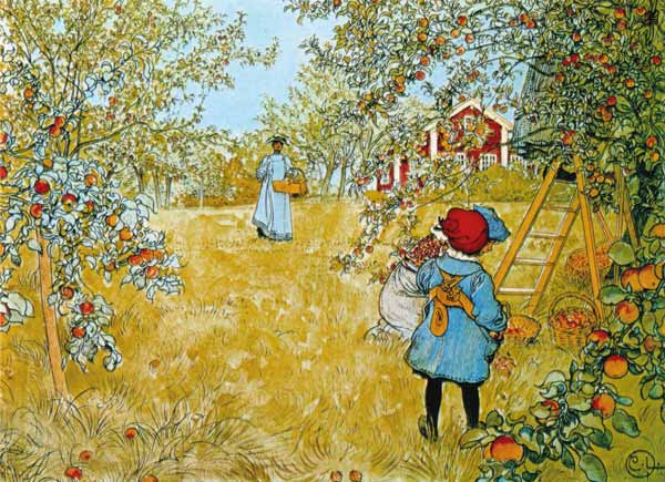 The Apple Harvest from Carl Larsson