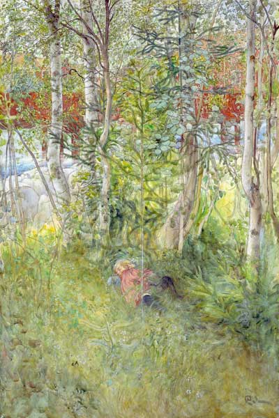 A Nap Outdoors from Carl Larsson