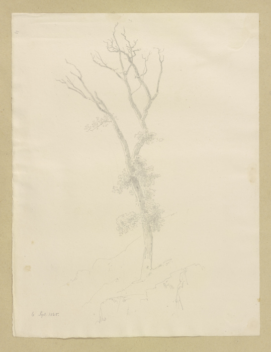 Baum mit abgestorbener Krone from Carl Theodor Reiffenstein