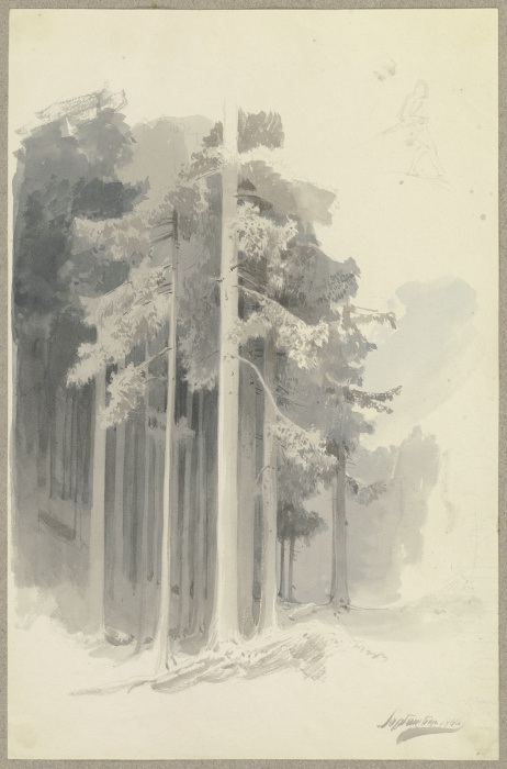 Dichter Nadelwald an einem Hang, oben rechts Skizze einer bergab schreitenden (oder angelehnten?) Fi from Carl Theodor Reiffenstein