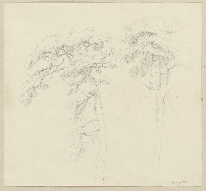 Three trees from Carl Theodor Reiffenstein