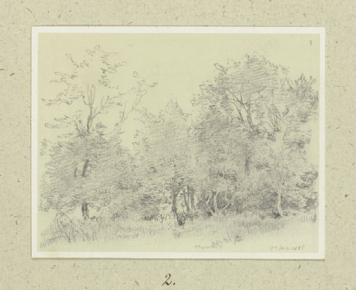 Grove from Carl Theodor Reiffenstein