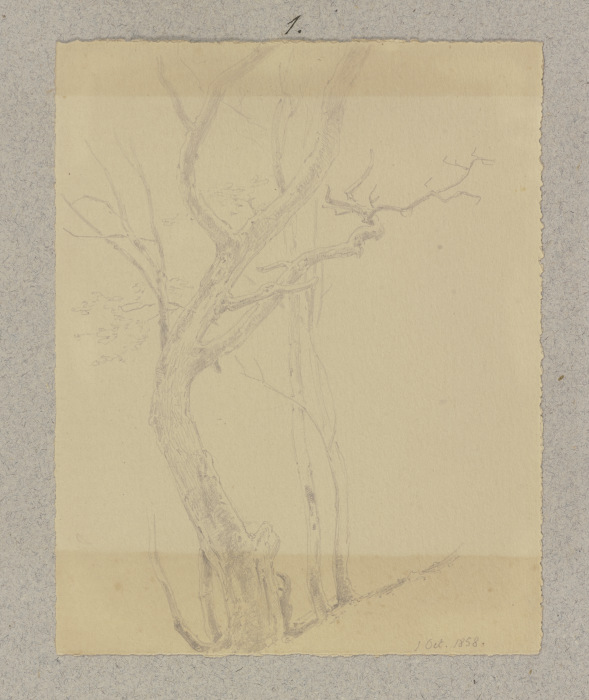 Leafless tree from Carl Theodor Reiffenstein