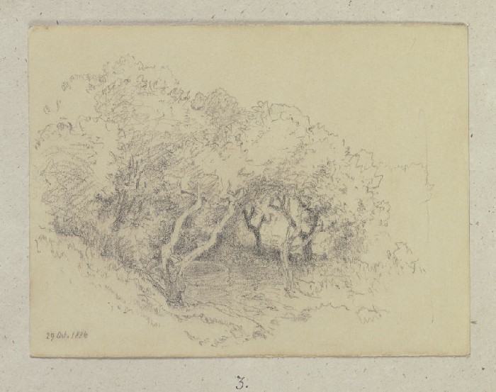 Grove from Carl Theodor Reiffenstein