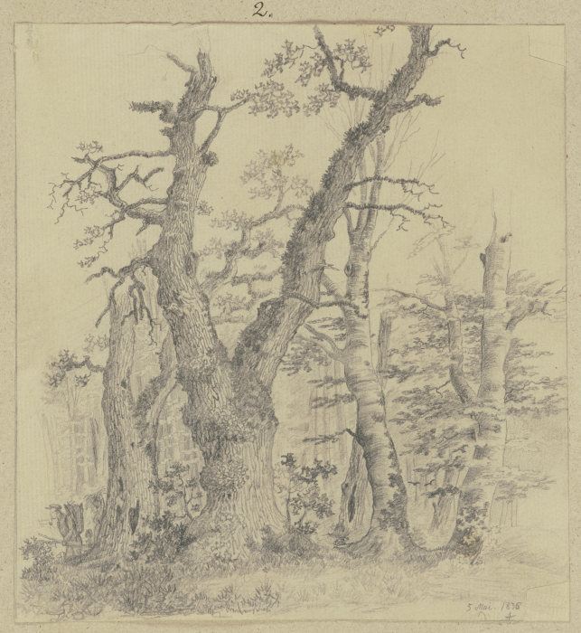 Forest scene from Carl Theodor Reiffenstein