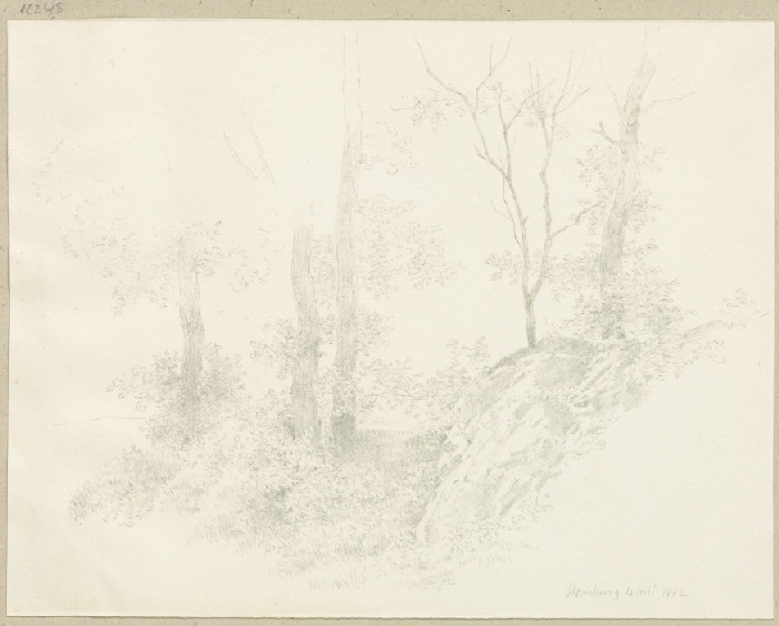 Forest near Homburg from Carl Theodor Reiffenstein