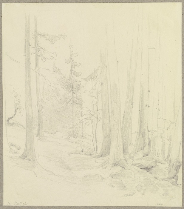 Waldstück im Ilsetal im Harz from Carl Theodor Reiffenstein
