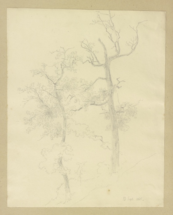 Zwei an einem Hang stehende Bäume from Carl Theodor Reiffenstein
