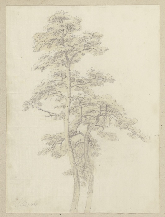 Zwei beieinander stehende Bäume from Carl Theodor Reiffenstein