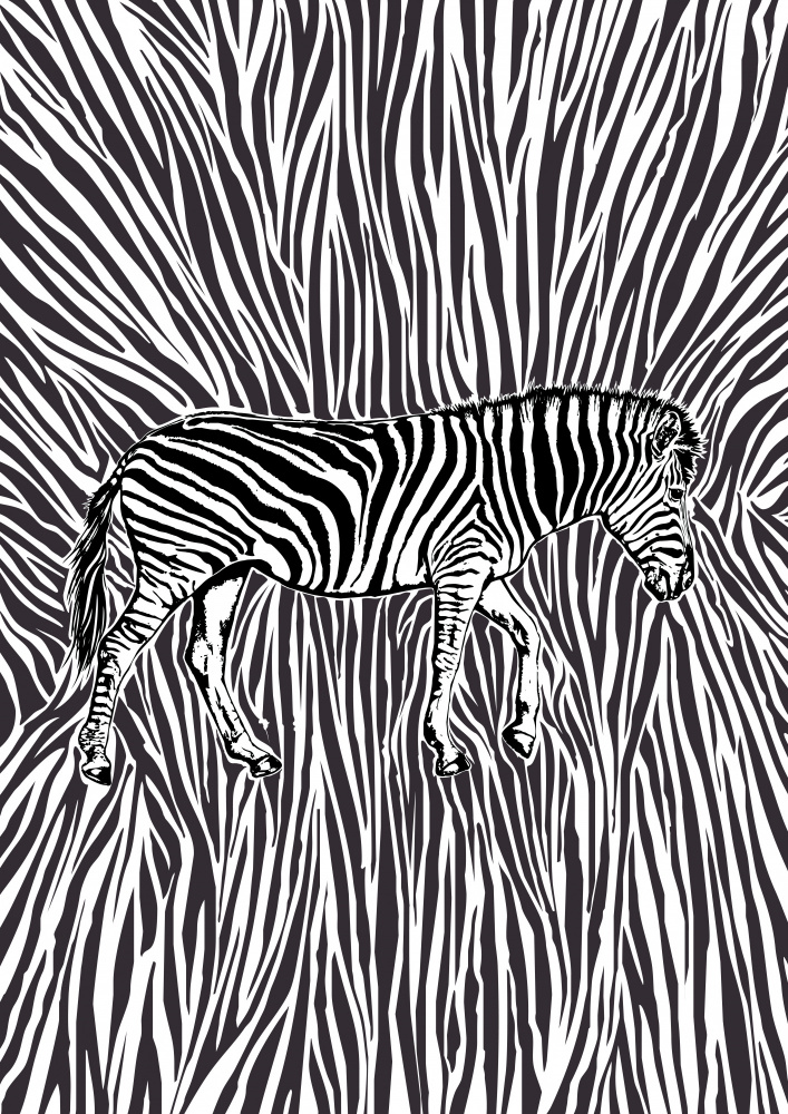 African Zebra striking camouflage from Carlo Kaminski