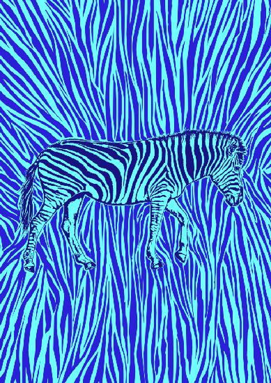 African Zebra striking camouflage
