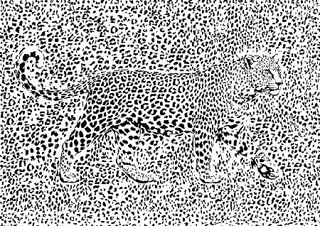 Leopard Rosette camouflage