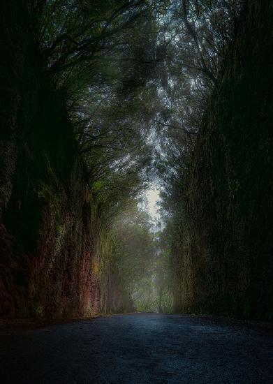 Mysterious road