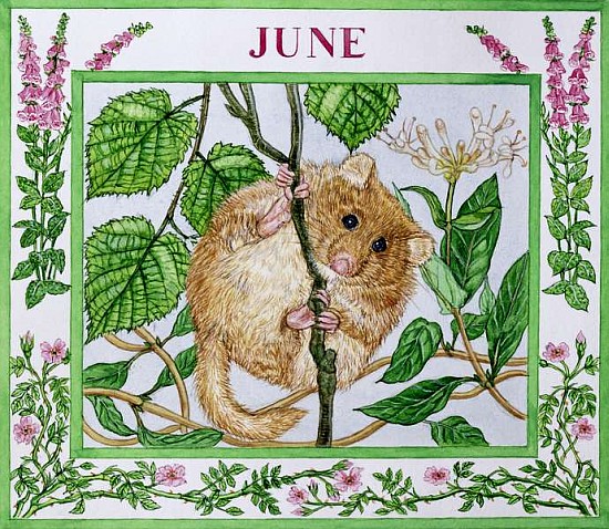 June (w/c on paper)  from Catherine  Bradbury