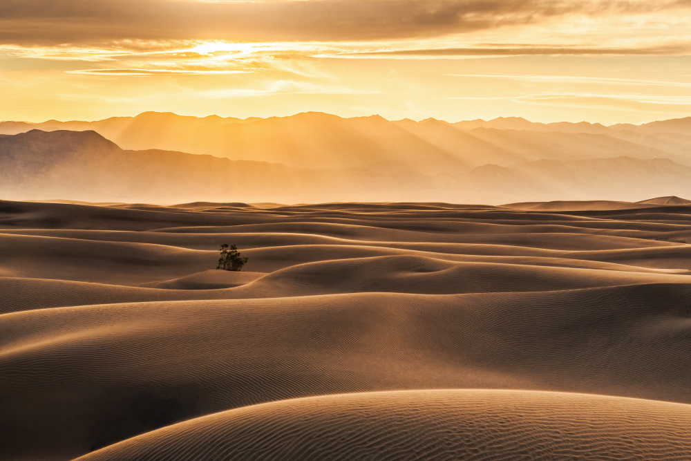 Golden Rays over Sand Dunes from Catherine Lu