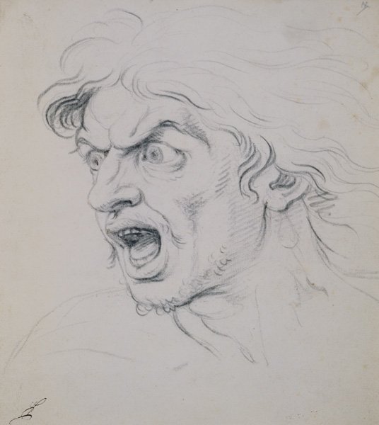 The head of a man screaming in terror, a study for the figure of Darius in 'The Battle of Arbela' from Charles Le Brun