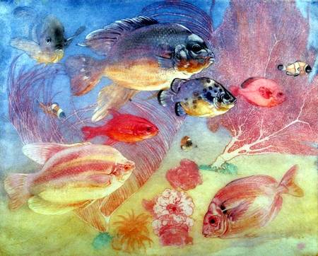 Tropical Fish from Charles Maurice Detmold