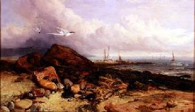 Shore Scene with Fishing Boat and Terns