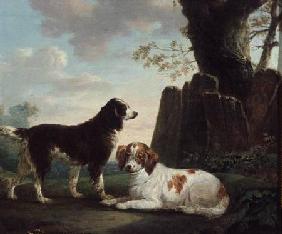 Two spaniels in a landscape