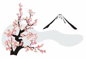 Cherry blossom in front of Mount Fuji