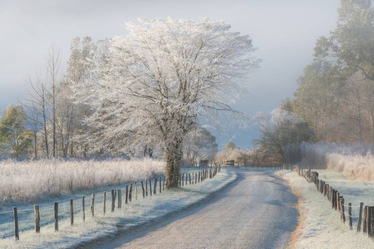 A Frosty Morning from Chris Moore