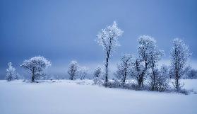 Winterland